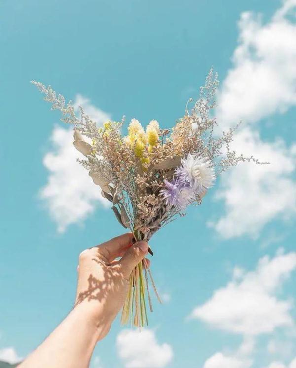 心情短语致自己21句，心情好好，一切皆好