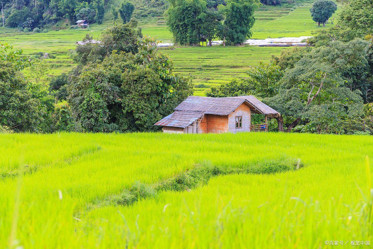 关于小满的唯美诗句9首，欲满不满，真的刚刚好