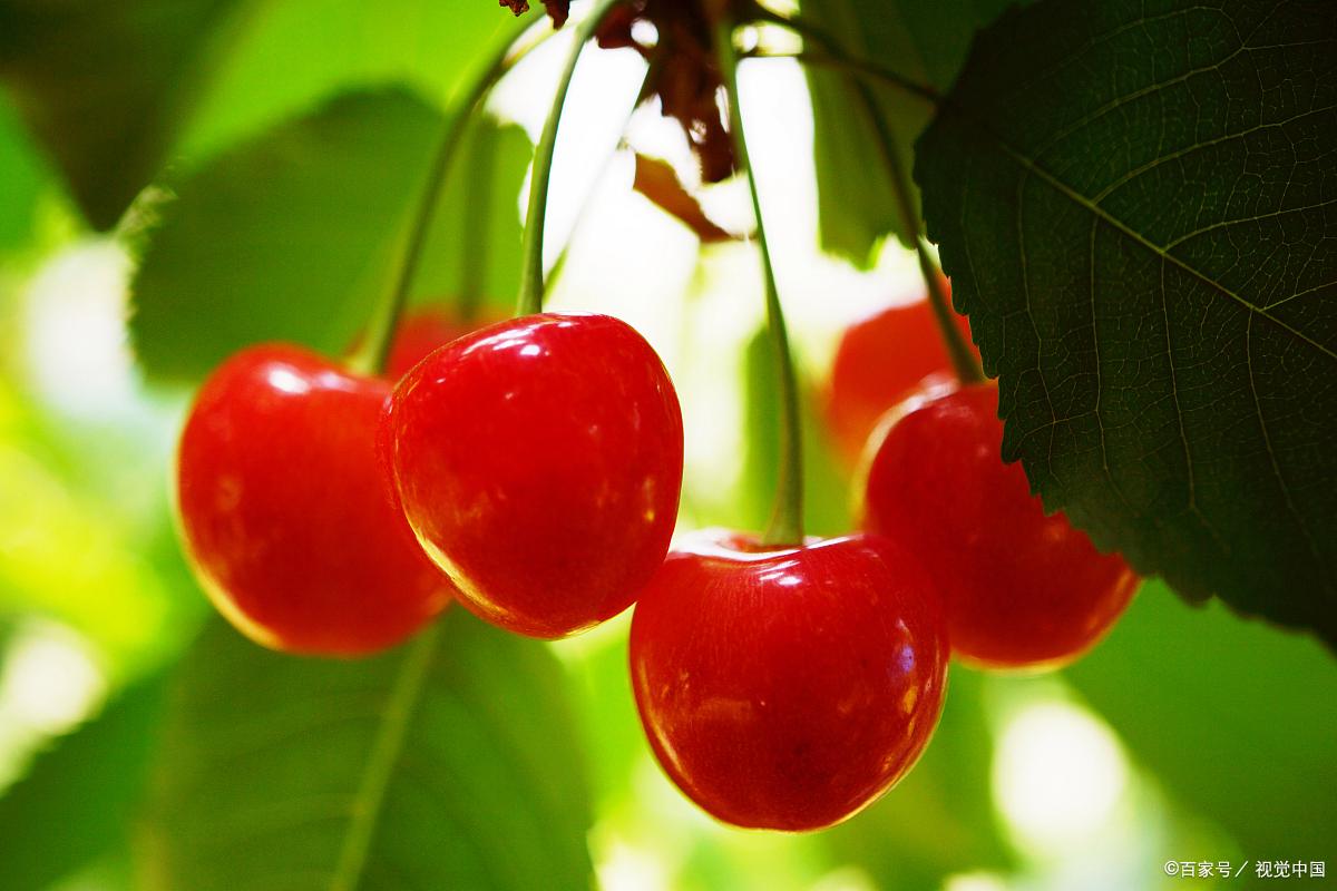 关于小满的唯美诗句9首，欲满不满，真的刚刚好