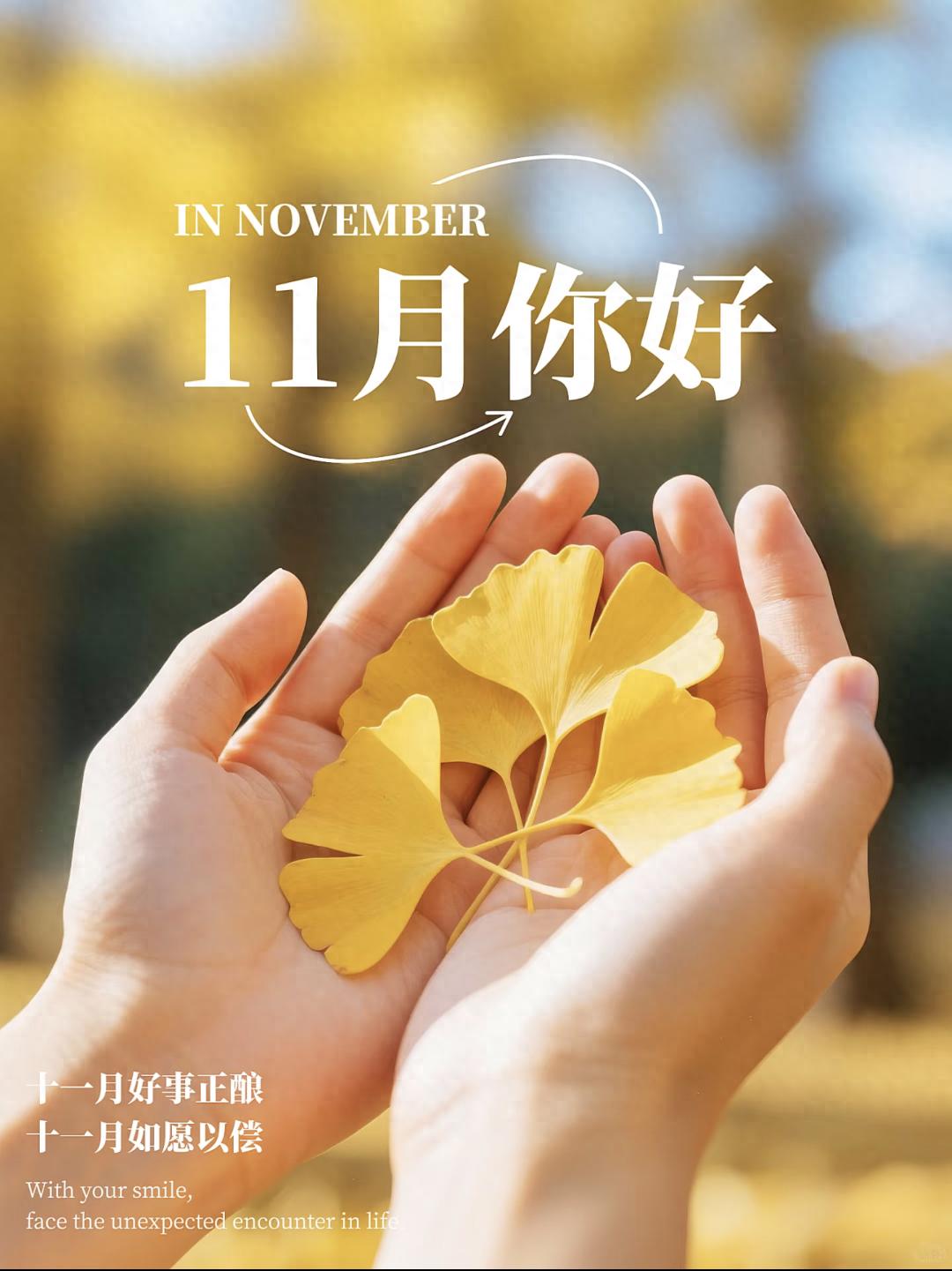 11月你好文案30句，愿日子清透，万事顺意