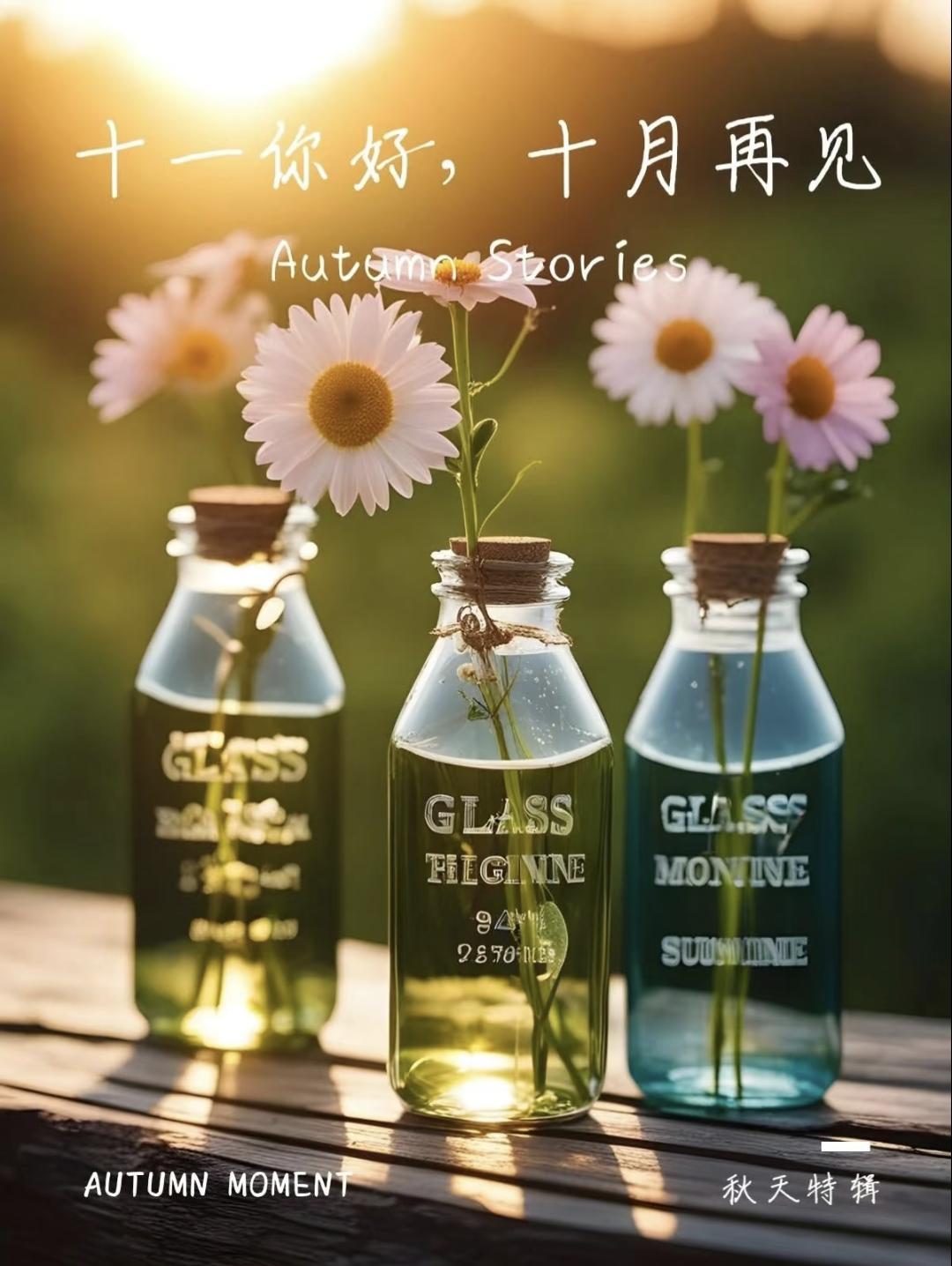 11月你好文案30句，愿日子清透，万事顺意