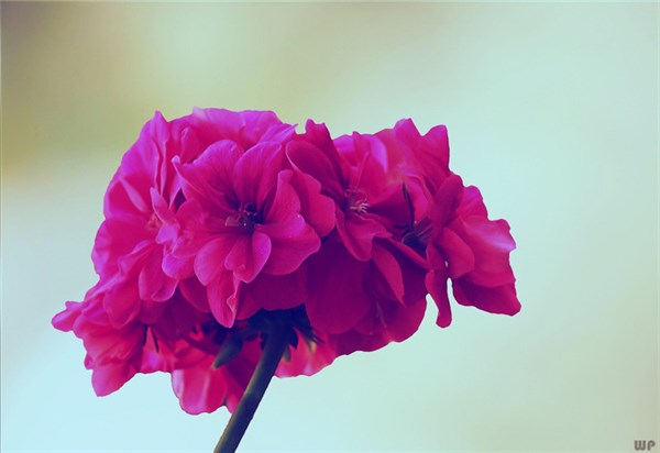 七夕对老婆说的暖心话22句，愿我们相爱到永远