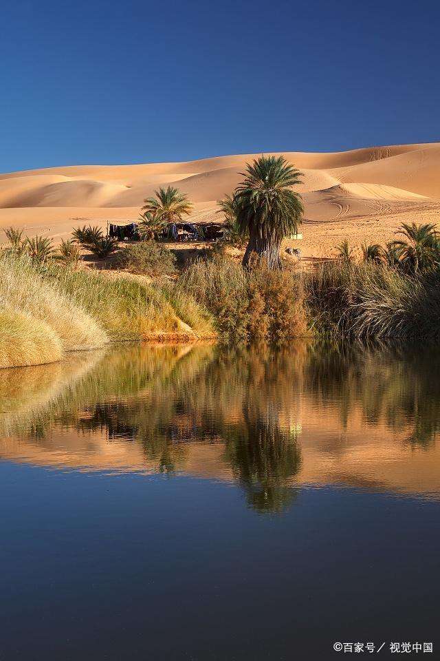 泰戈尔生如夏花（全文欣赏）