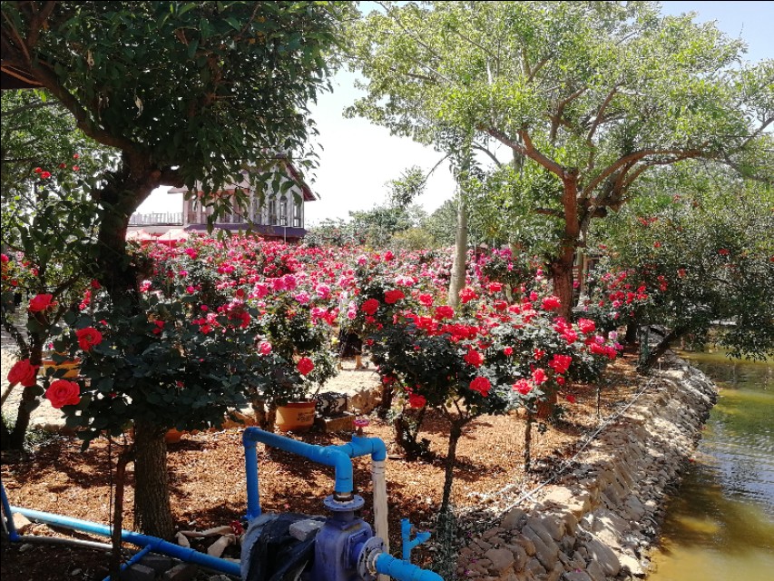 天气变冷的问候语24句，气温在变，关心不变