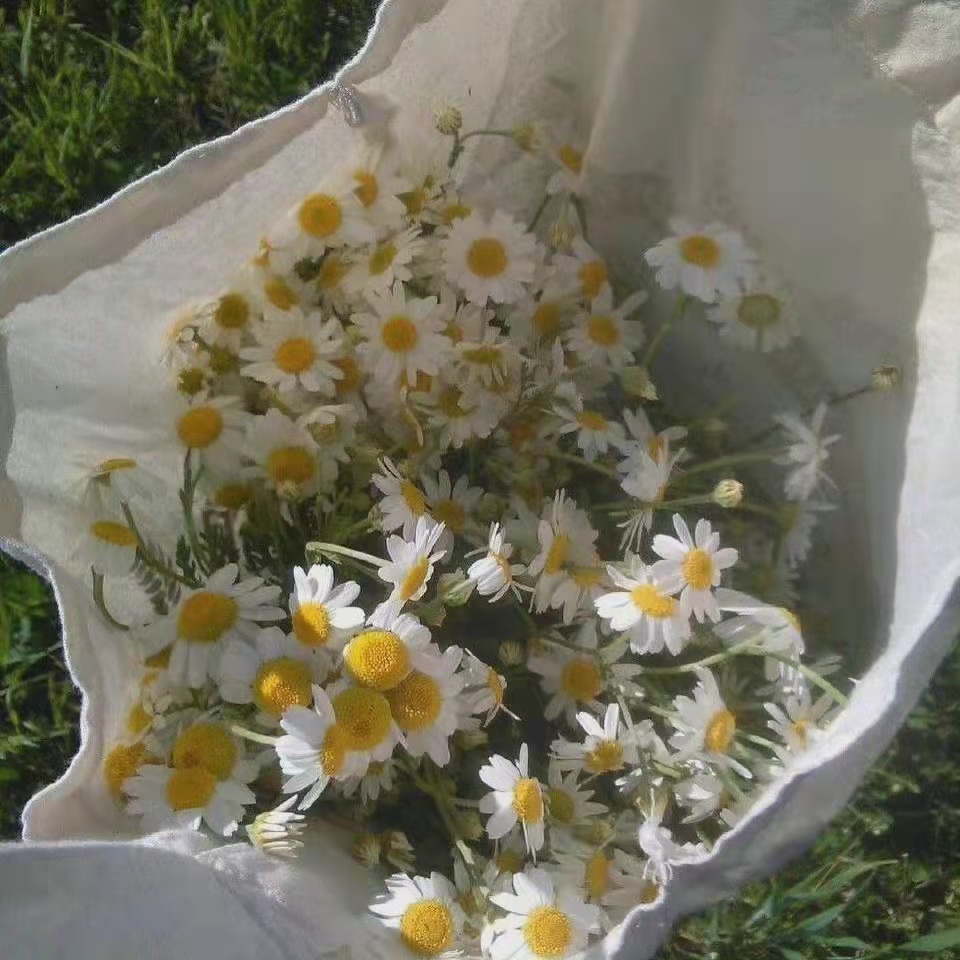 朋友圈文案短句65句，句句精致有魅力