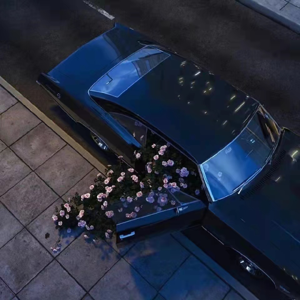 朋友圈文案短句65句，句句精致有魅力