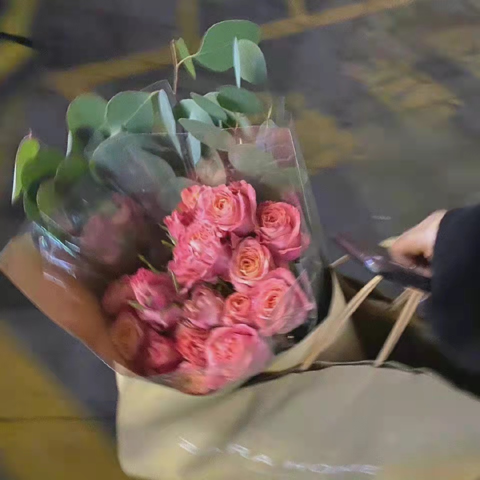 朋友圈文案短句65句，句句精致有魅力