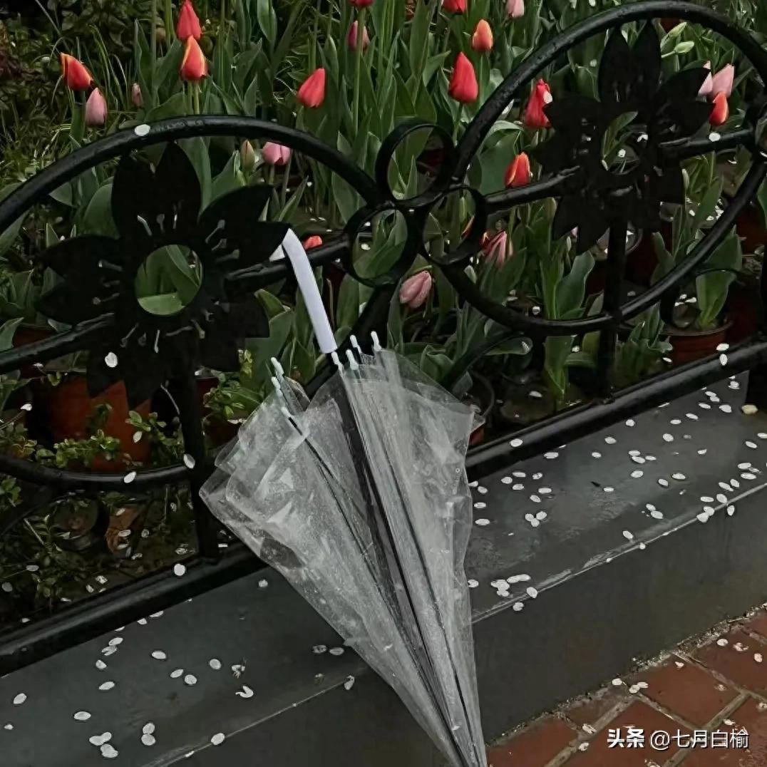 下雨天吸引人的朋友圈文案30句，雨天原来也这么美