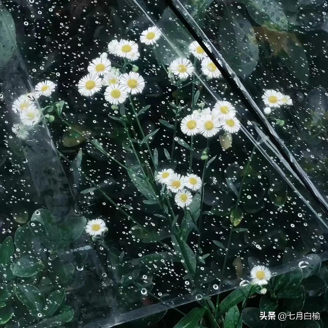 下雨天吸引人的朋友圈文案30句，雨天原来也这么美