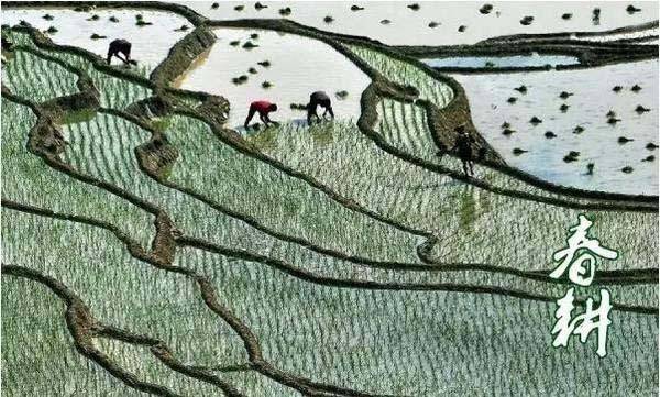 二月二民俗，二月二的民风习俗