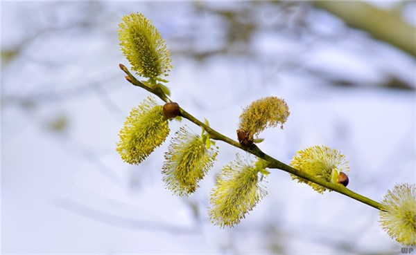 霸气十足的句子24句，一句比一句更深刻