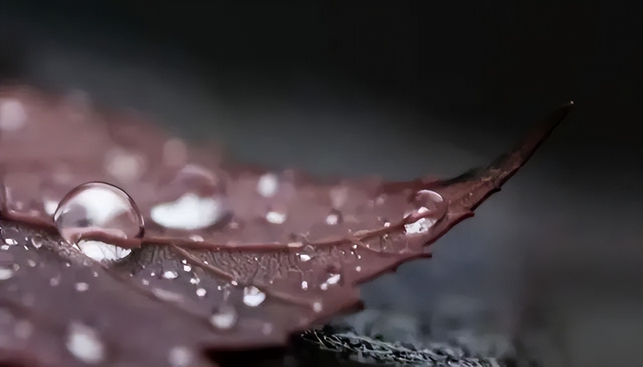 寒露的诗句10首，一起感受深秋之美