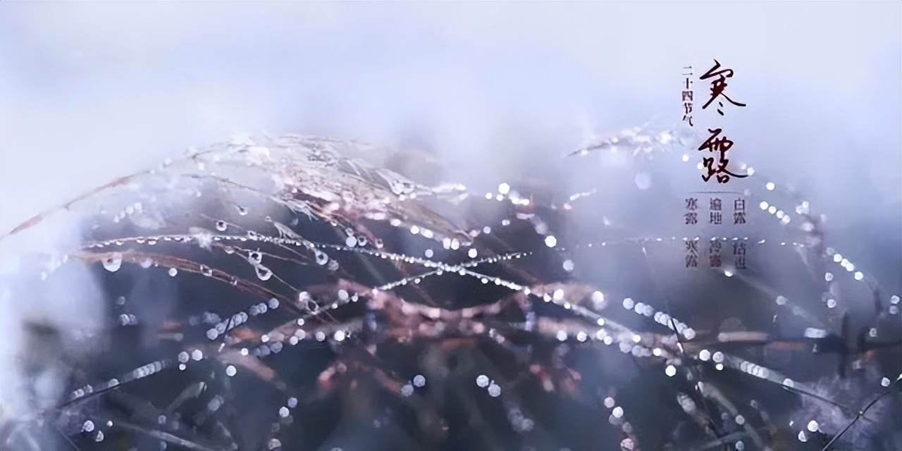 寒露的诗句10首，一起感受深秋之美