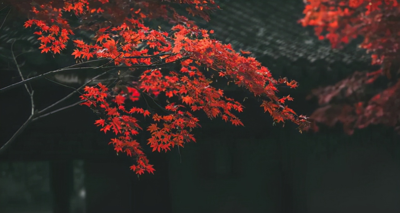 王阳明经典20句，一口气读懂心学精华!