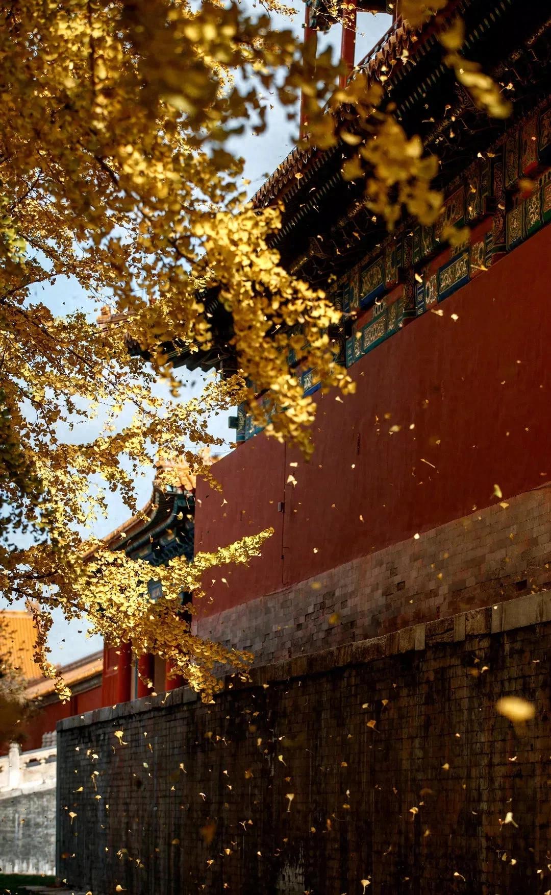 苏幕遮范仲淹（原文及解析）