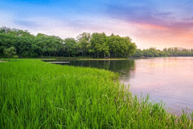 立夏的来历及传统习俗