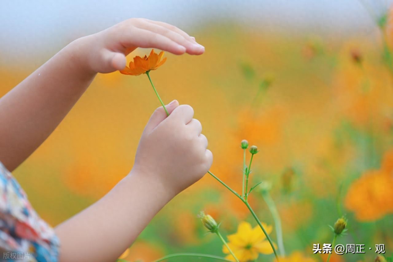 心情短句干净治愈24句，再忙也要读一遍