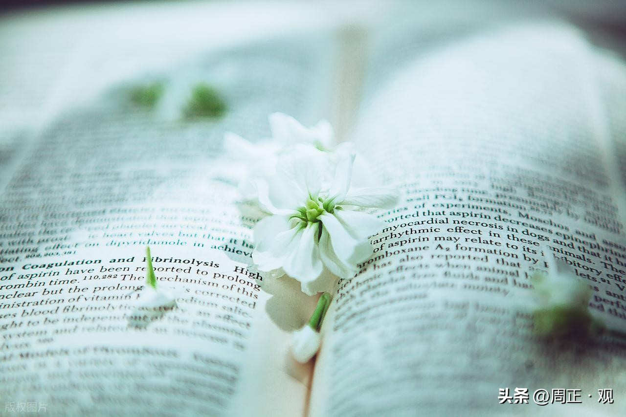 心情短句干净治愈24句，再忙也要读一遍