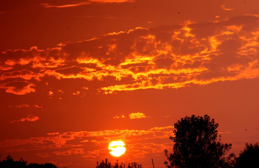 舍生取义的诗句10首，打动人心的佳作