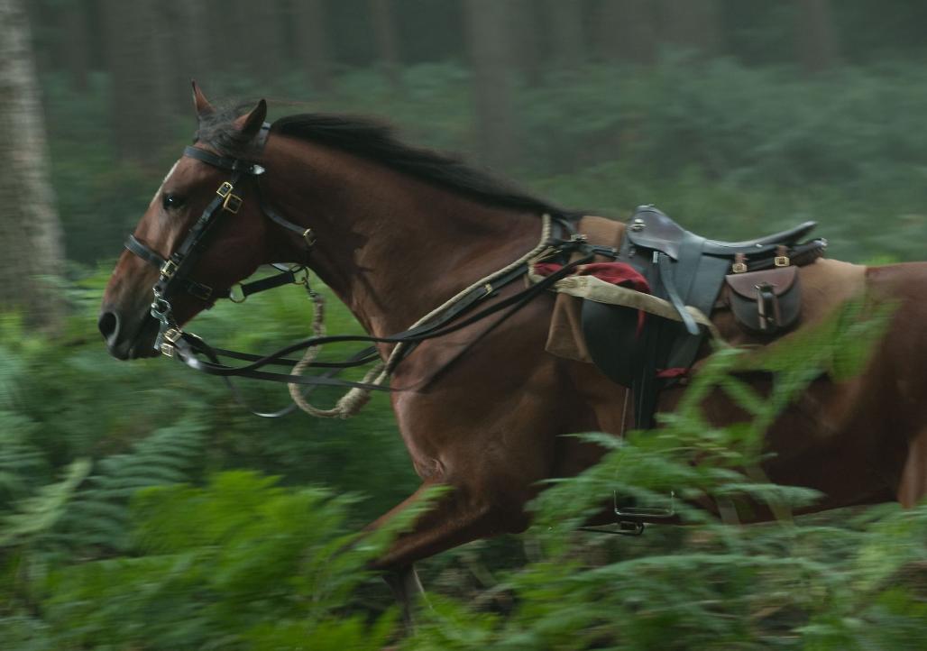 舍生取义的诗句10首，打动人心的佳作