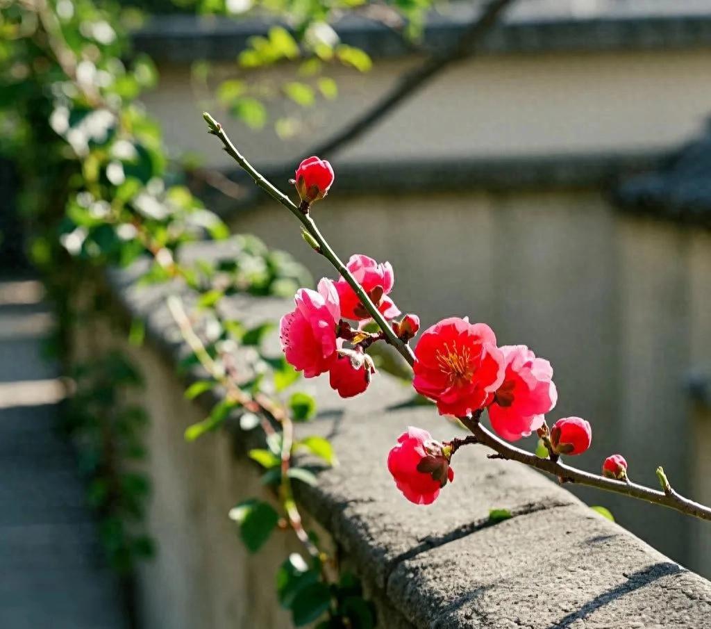 游园不值古诗（原文、译文及解析）