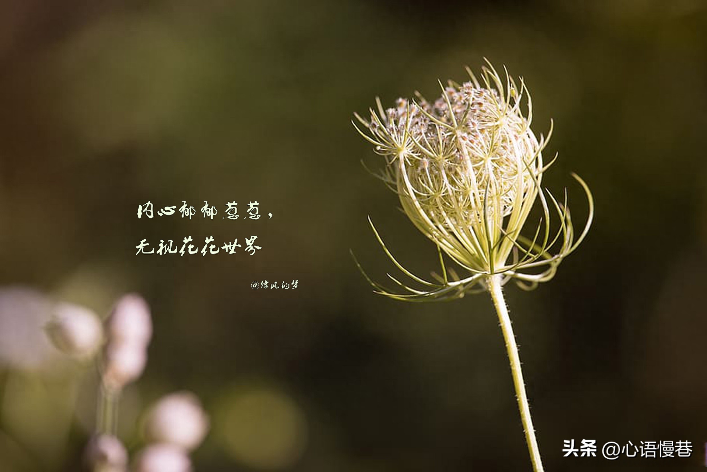 有深度有品味的句子15句，百读不厌!