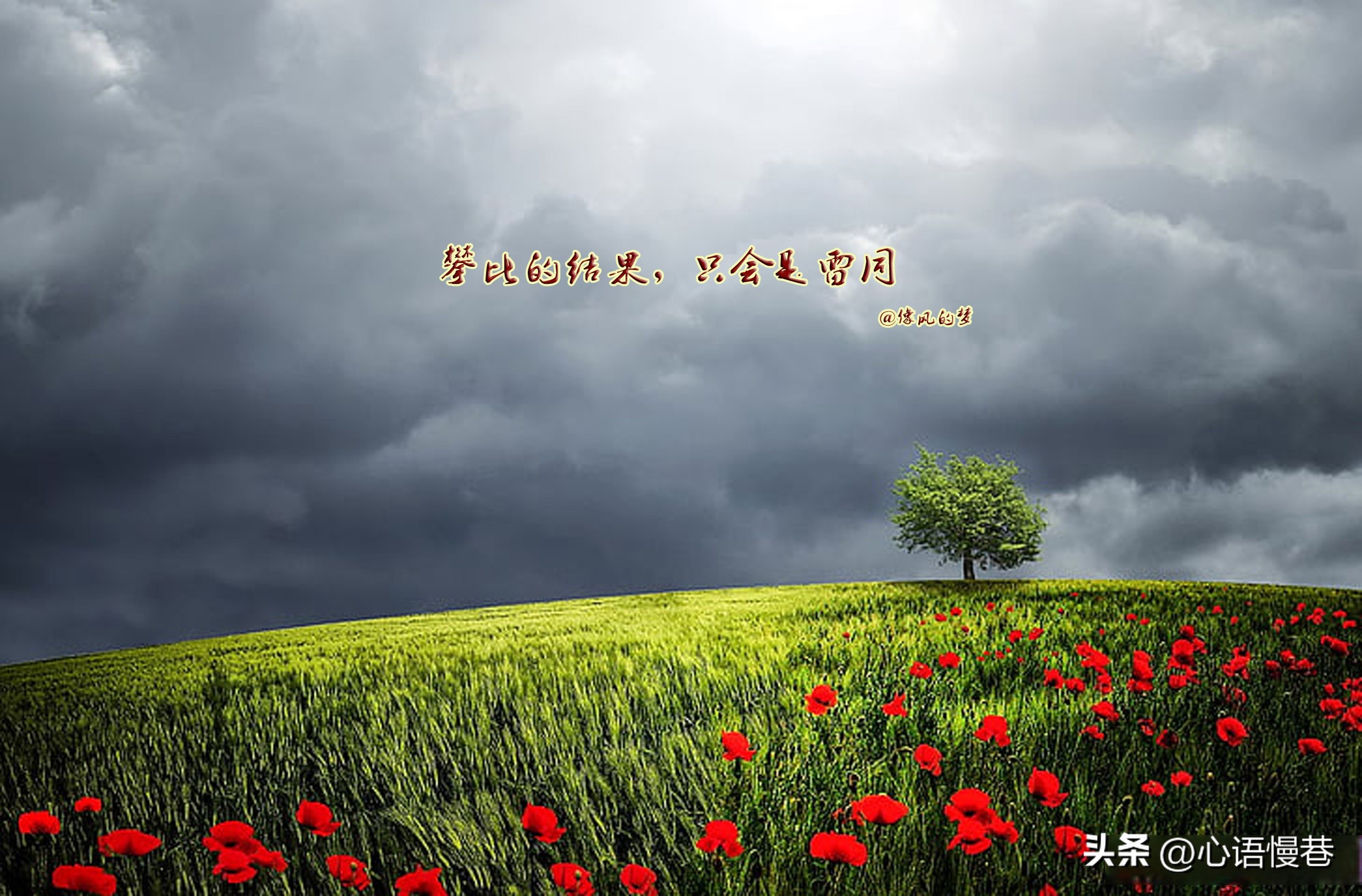 有深度有品味的句子15句，百读不厌!