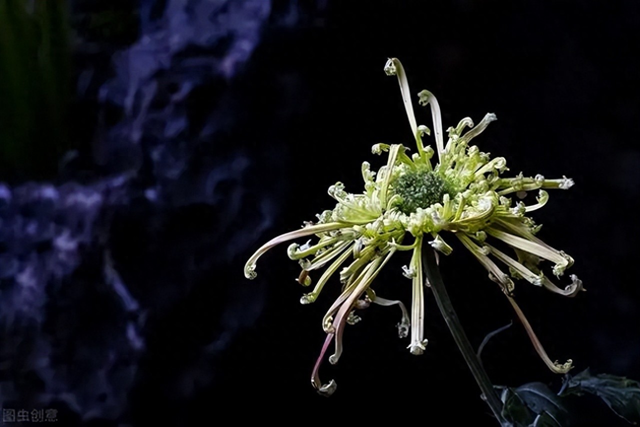 哀悼的句子10句，又清明，忆故人