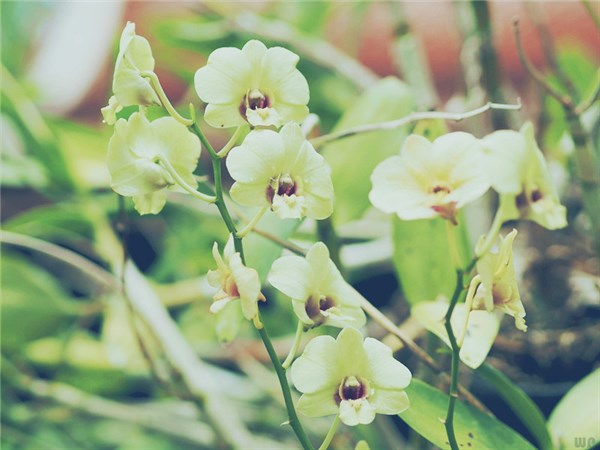 心态好的文案22句，金玉良言，谁看谁受益