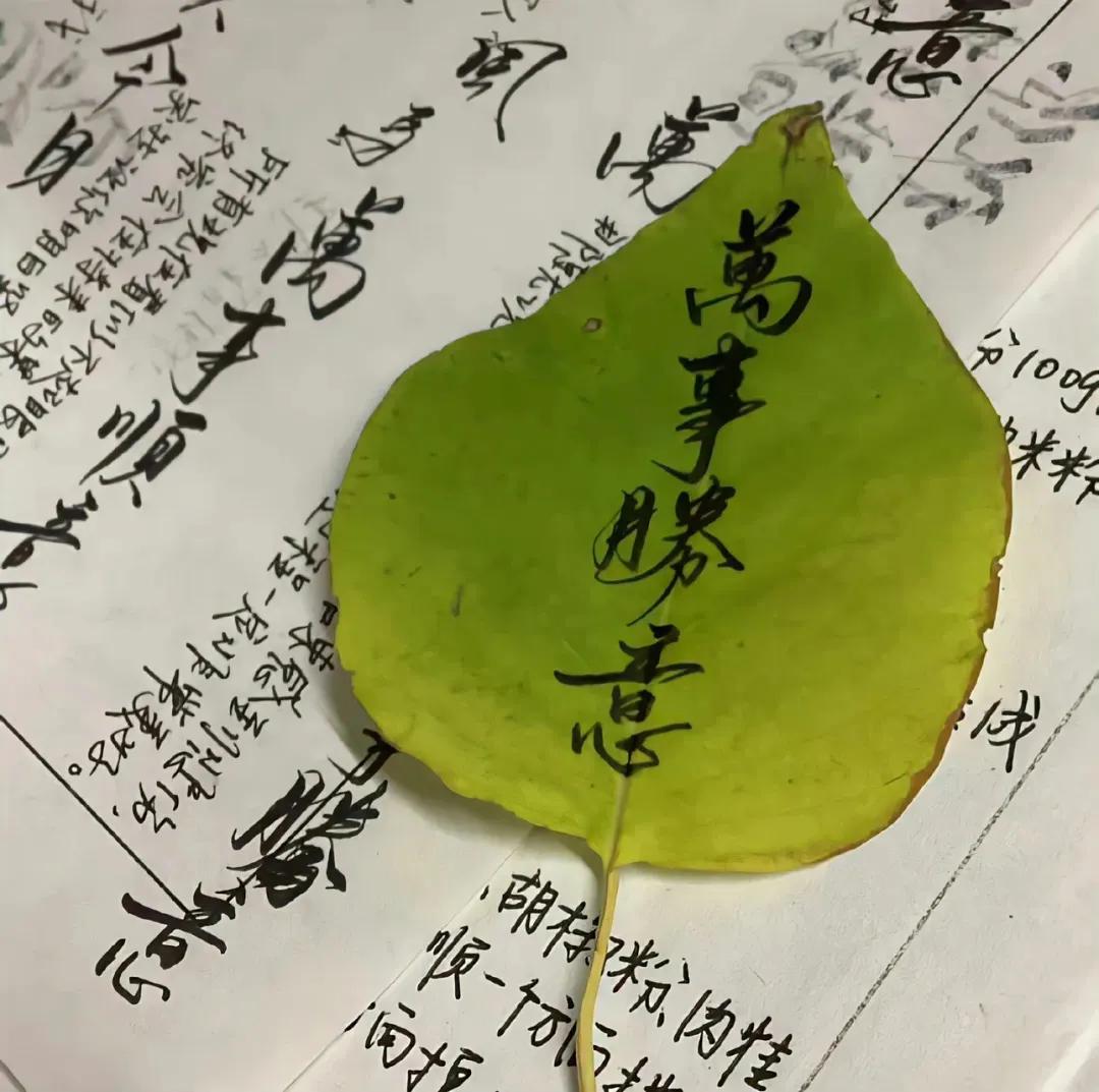 祝考生金榜题名的金句17句，磨砺十二载， 今朝试锋芒