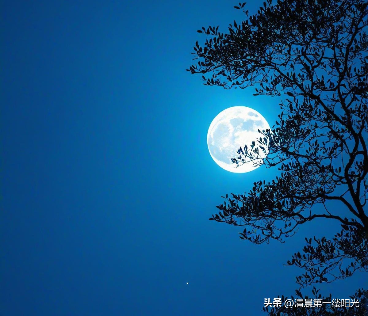 月夜忆舍弟杜甫（原文及解析）