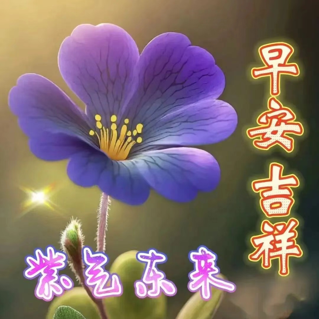 最简单的祝福语50句，祝步履所至，皆是坦途