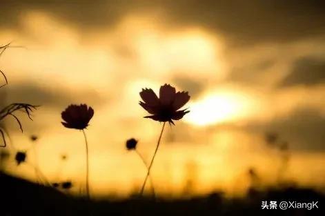 栉风沐雨（释义、出处及成语故事）